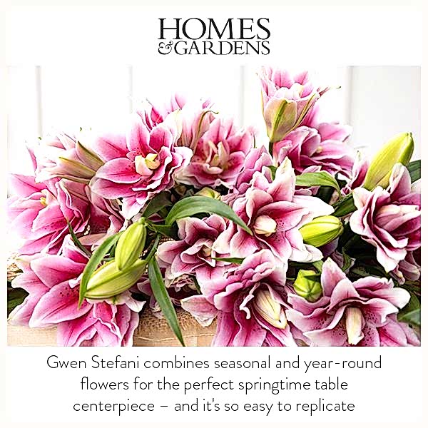 Homes & Gardens thumbnail