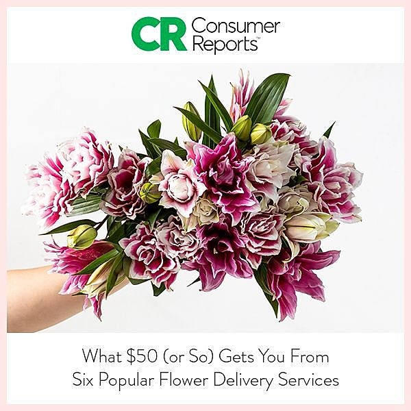 Consumer Reports thumbnail