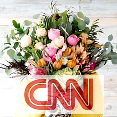 CNN thumbnail