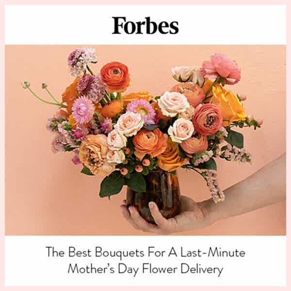 Forbes  thumbnail