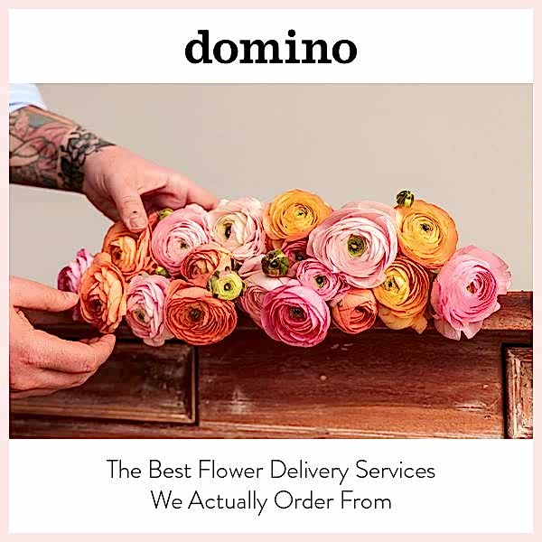 Domino thumbnail