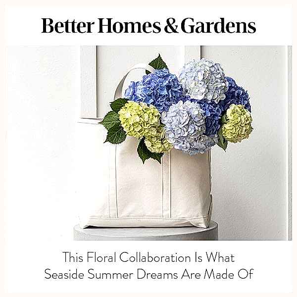 Better Homes & Garden thumbnail