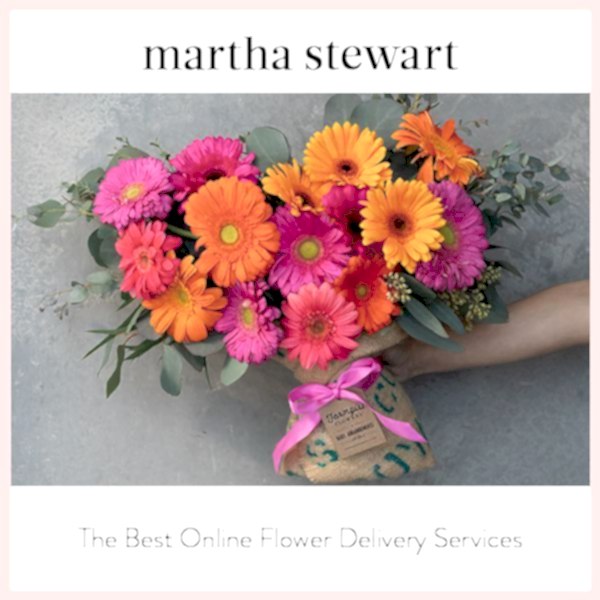 Martha Stewart thumbnail