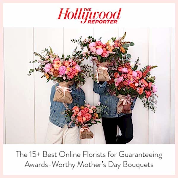 Hollywood Reporter thumbnail