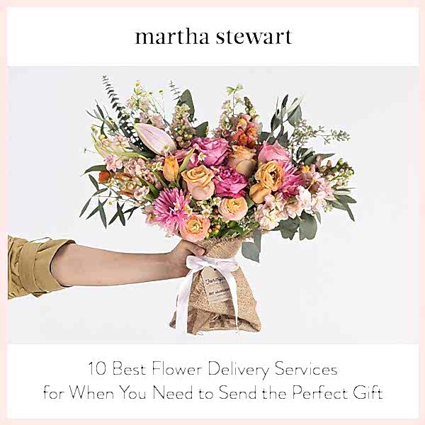 Martha Stewart thumbnail