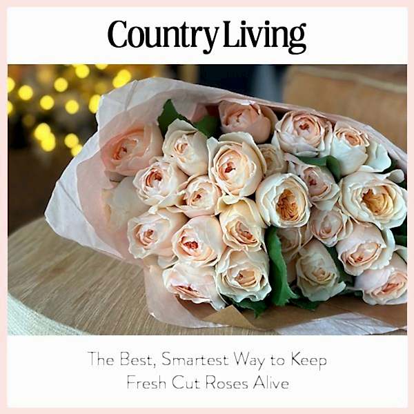 Country Living thumbnail