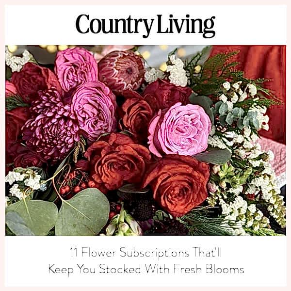 Country Living thumbnail