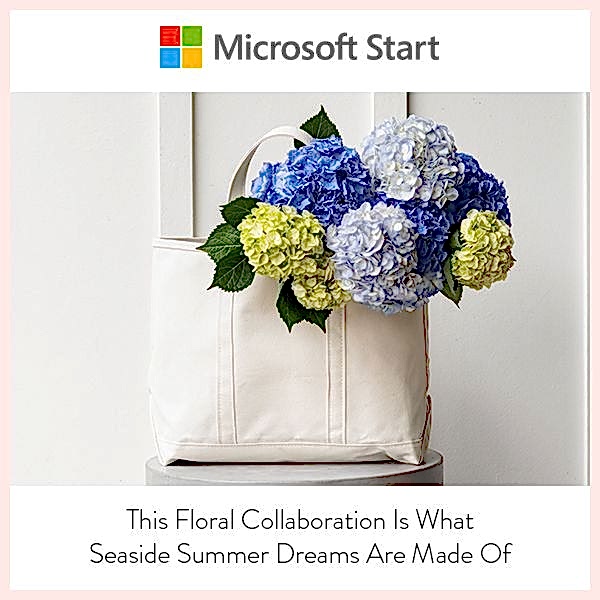Microsoft Start thumbnail