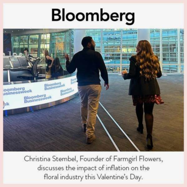 Bloomberg thumbnail