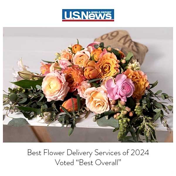 US News thumbnail
