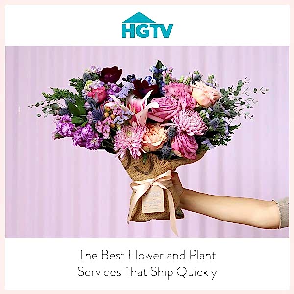 HGTV thumbnail