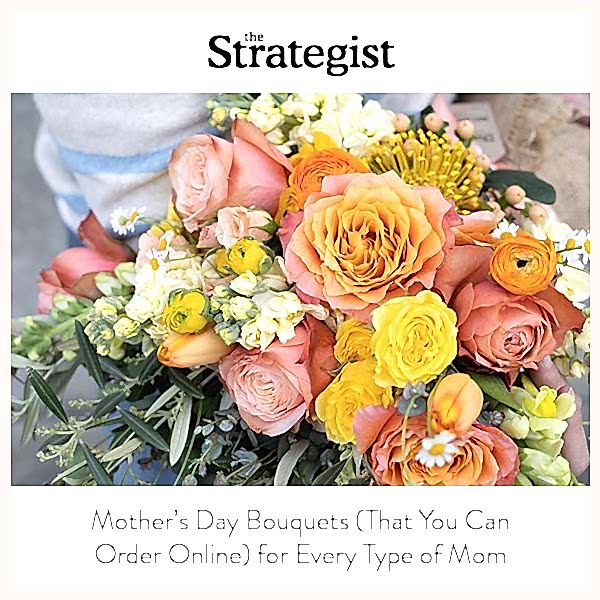 The Strategist thumbnail