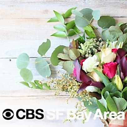 KPIX CBS Bay Area thumbnail