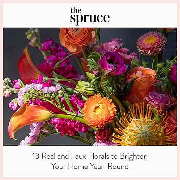 The Spruce thumbnail