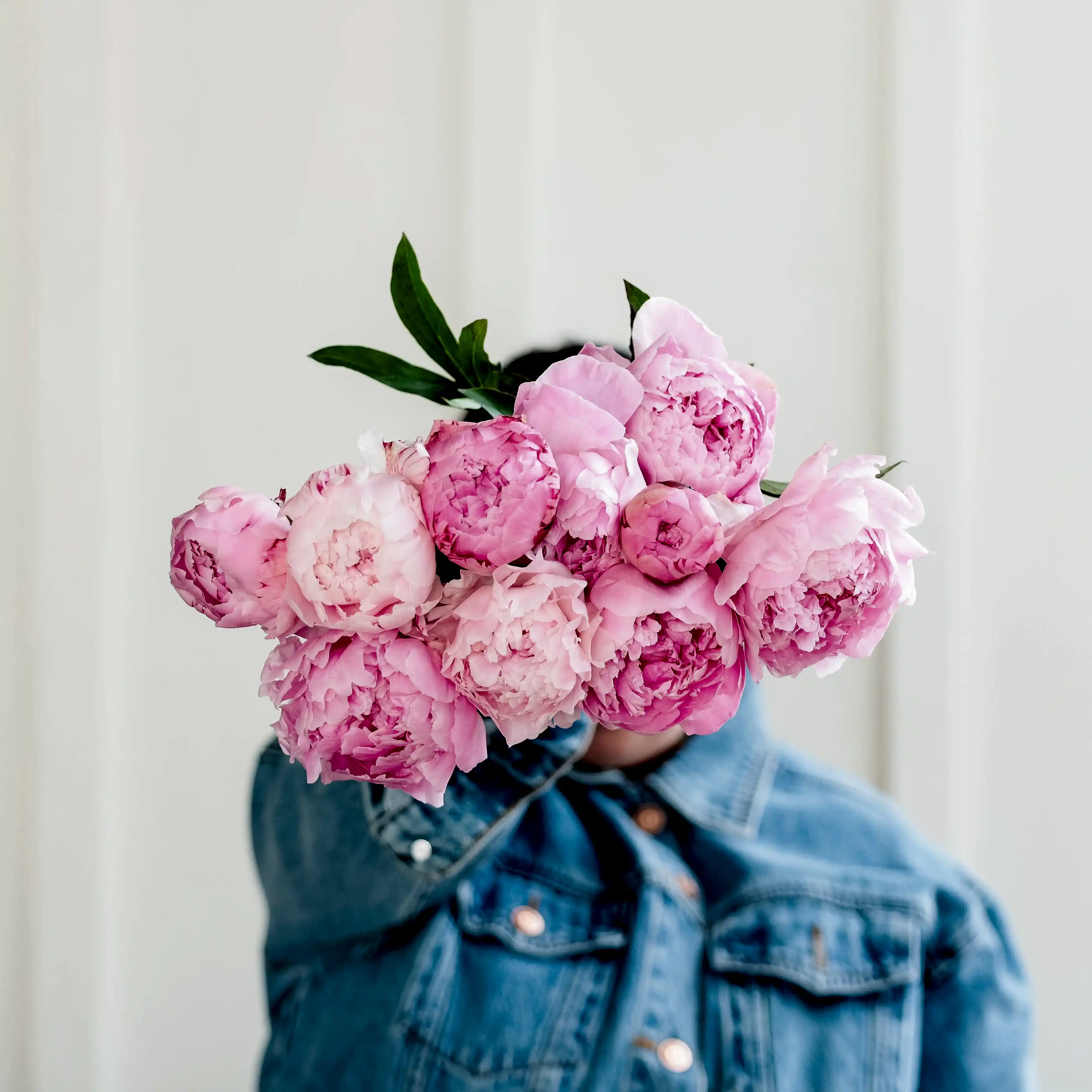 Peonies!