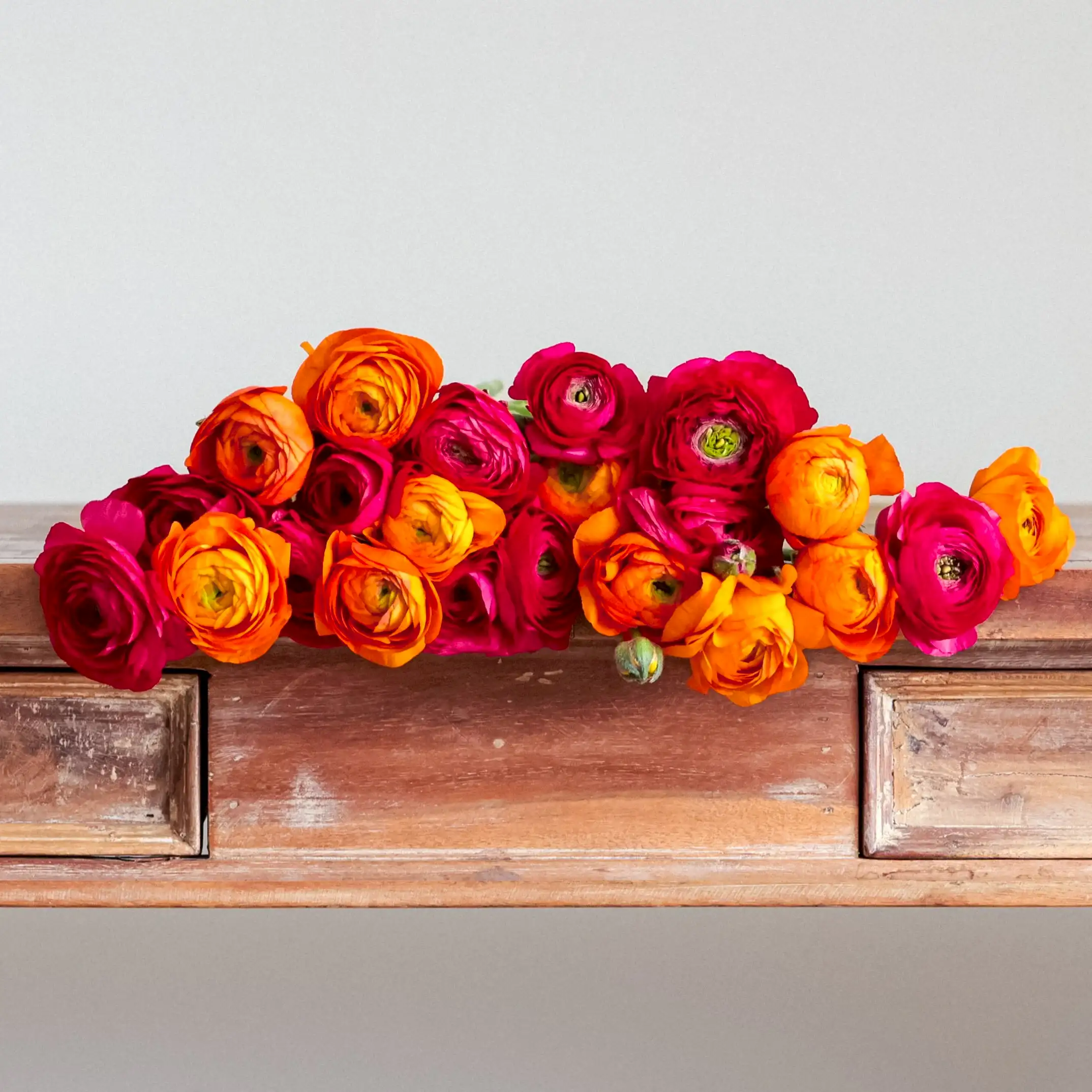 Grower's Choice Ranunculus!