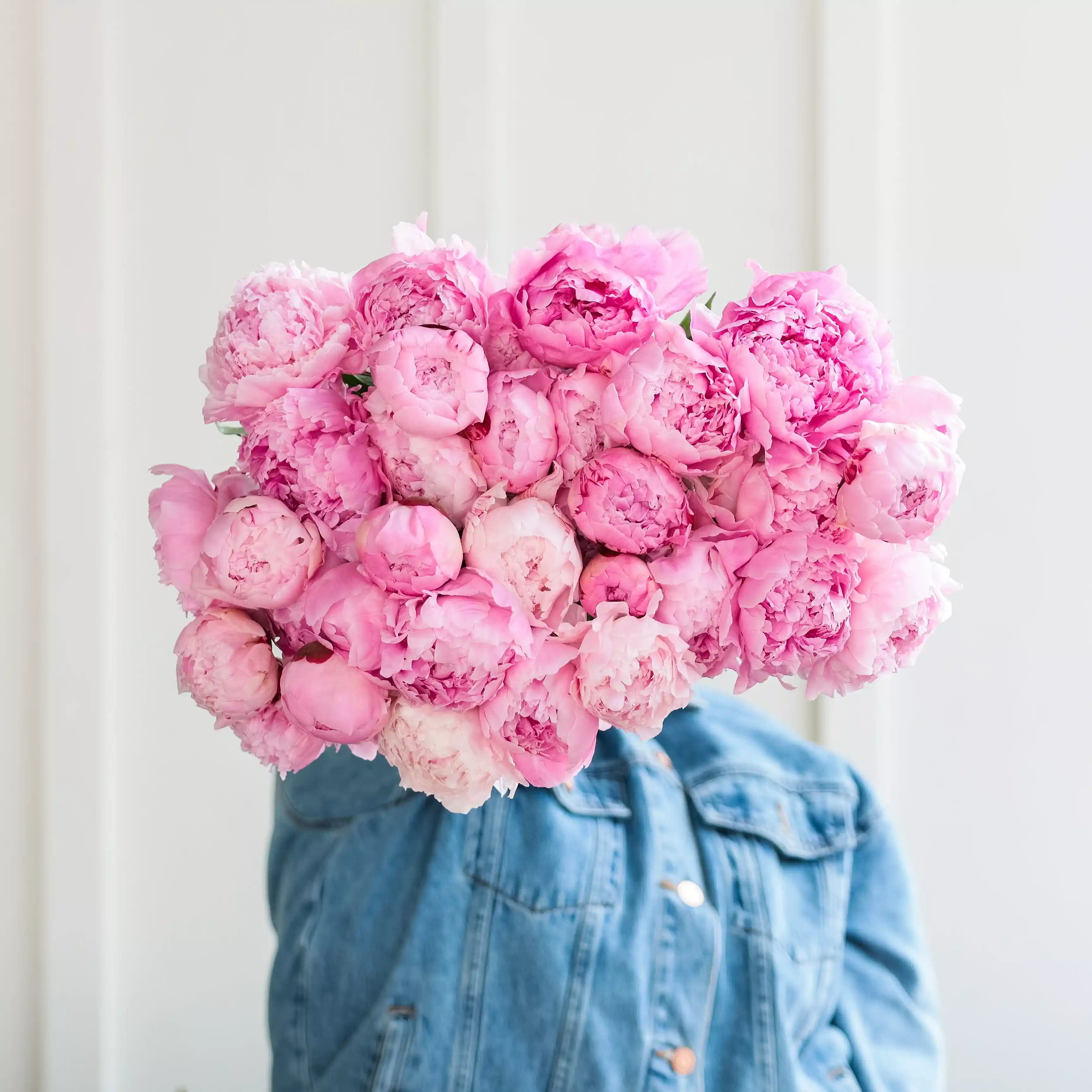 Even More Peonies!