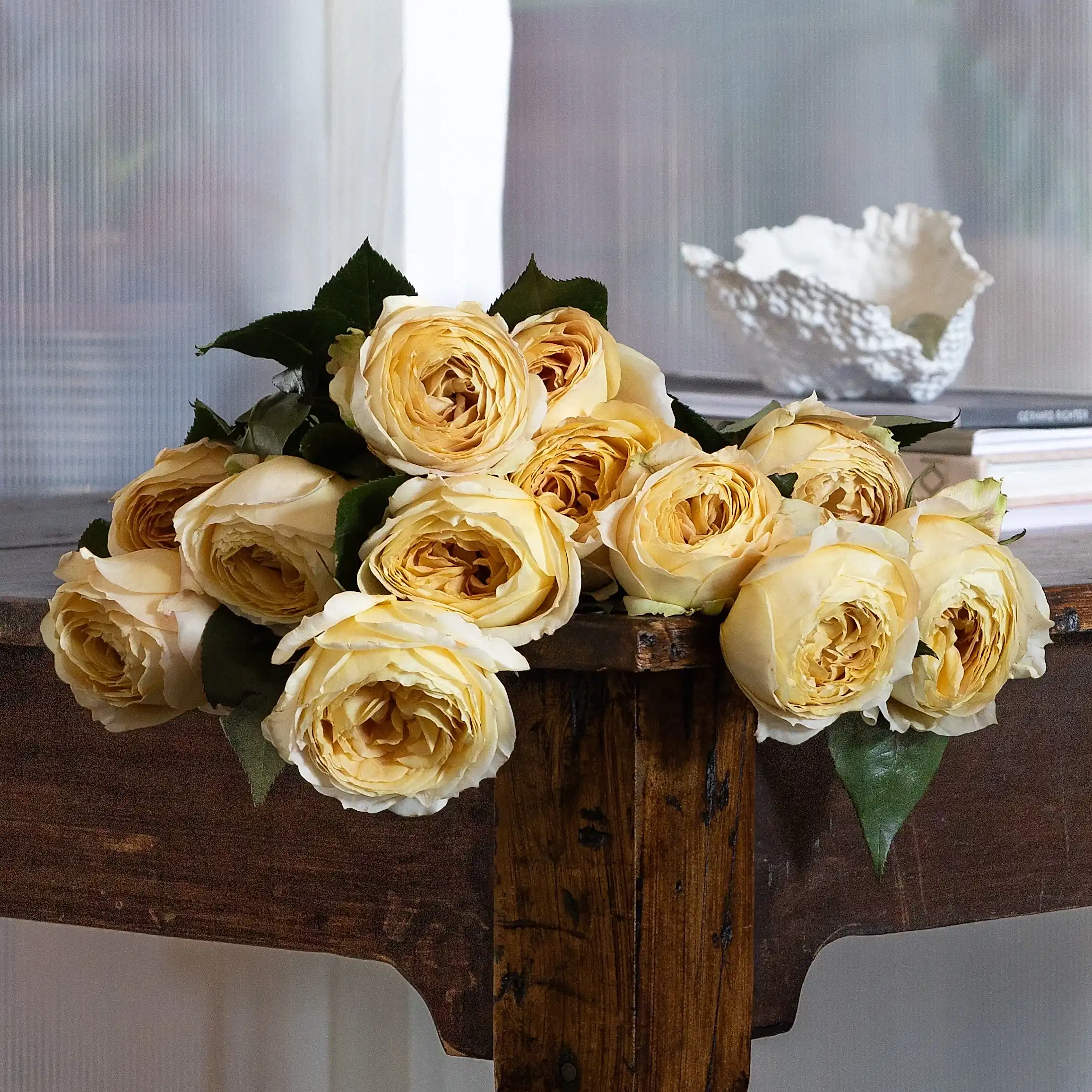 Grower's Choice Garden Roses!