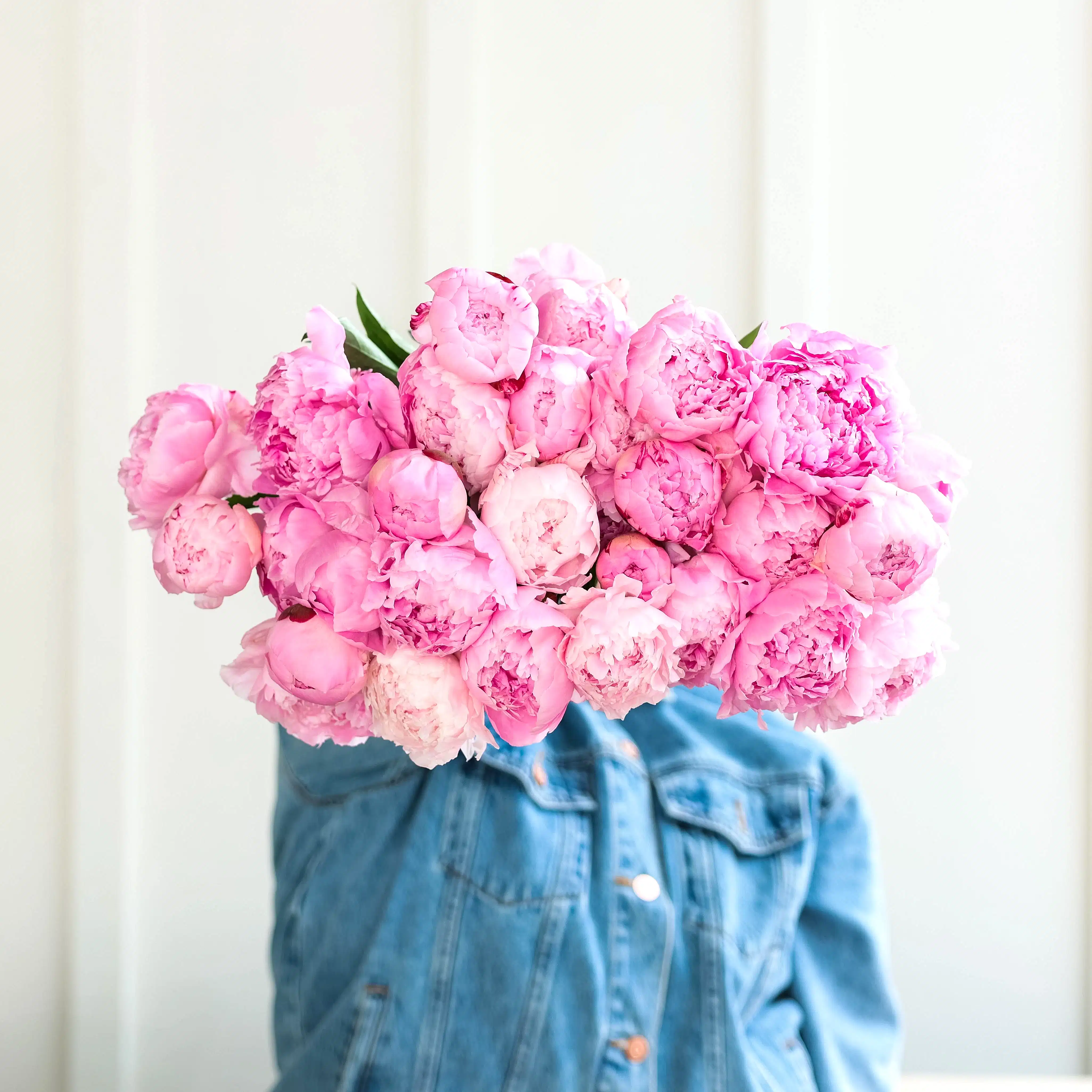 More Peonies!
